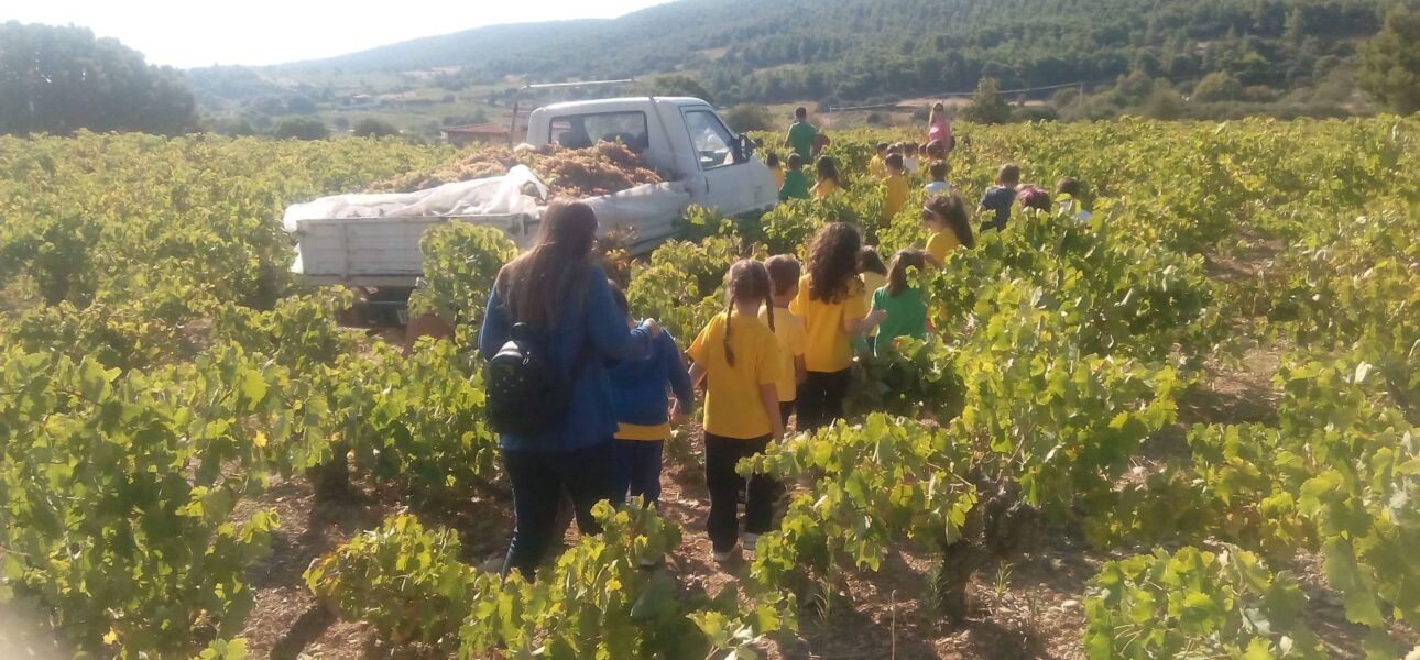 28 ΣΕΠΤΕΜΒΡΙΟΥ 2016 – Επίσκεψη σε αμπελώνα