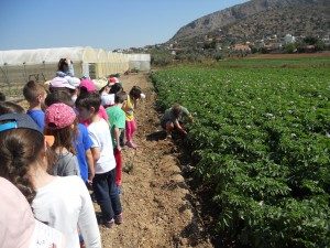 Επίσκεψη σε γεωργό και μανάβη του νησιού μας – Βʹ τάξη 1