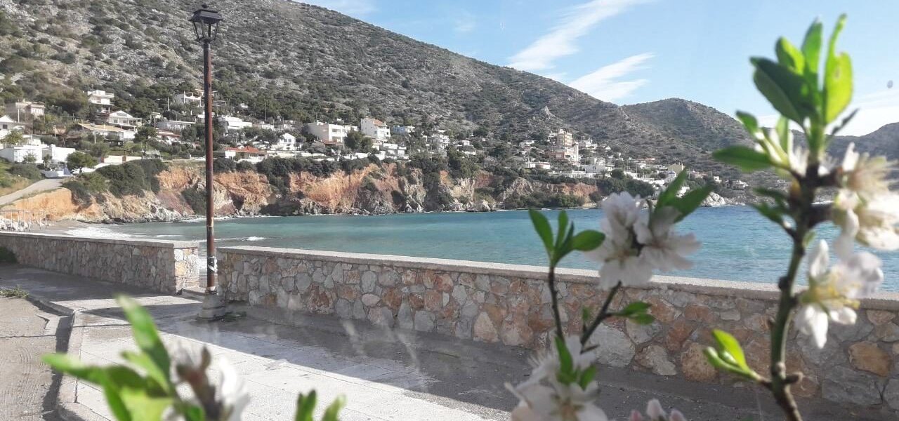 Επίσκεψη σε κτήμα με αμυγδαλιές