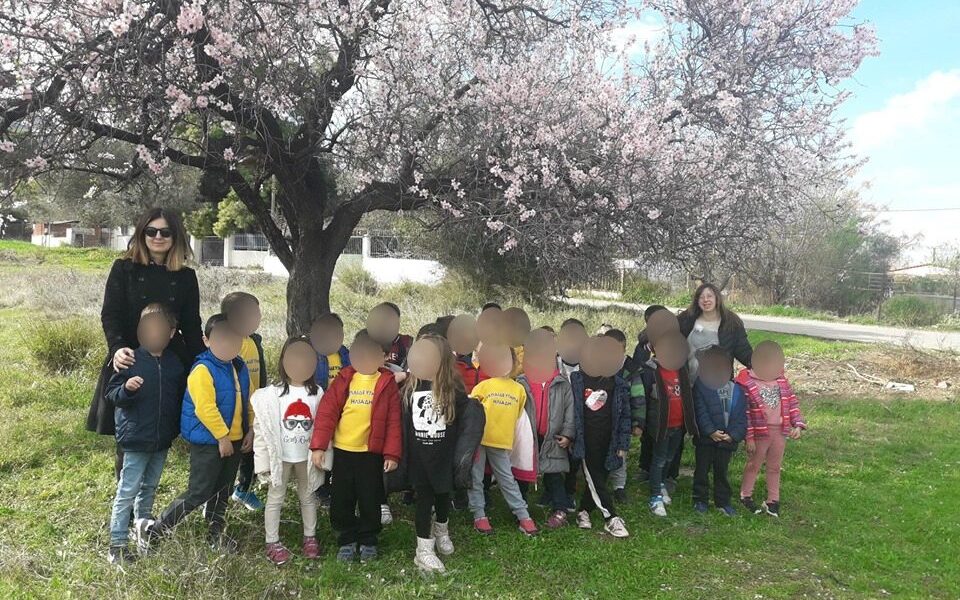 Επίσκεψη σε κτήμα με αμυγδαλιές