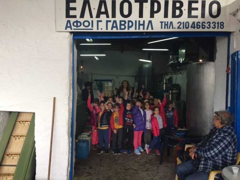 Επίσκεψη σε λιοτρίβι 1