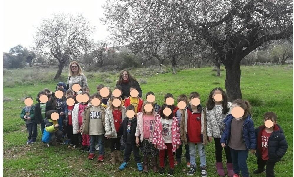 Επίσκεψη στις αμυγδαλιές