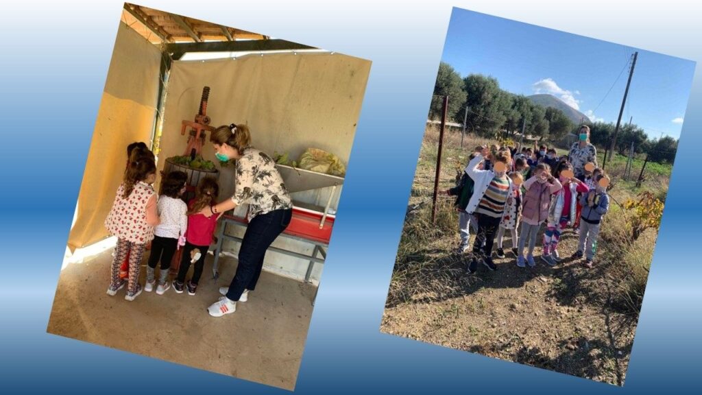 Η επίσκεψή μας σε παραδοσιακό αμπελώνα