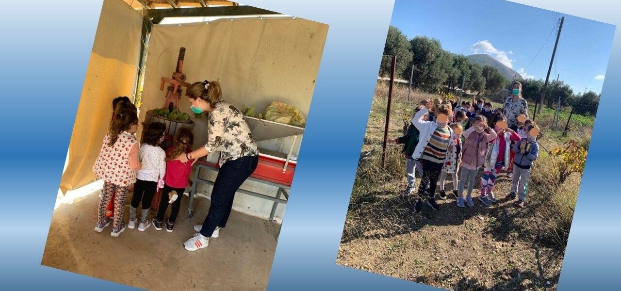Η επίσκεψή μας σε παραδοσιακό αμπελώνα