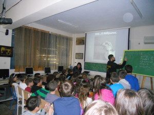 Μαθαίνοντας για τα αδέσποτα ζώα 1