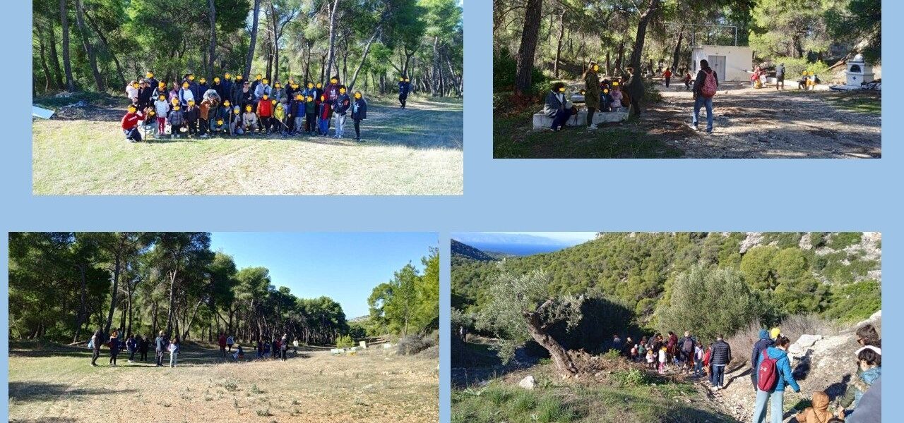 Πεζοπορία στο δάσος!