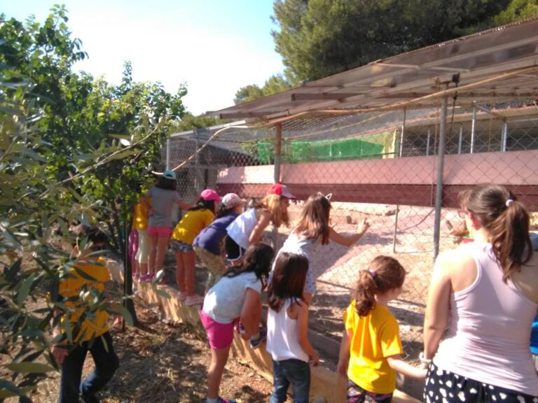 Summer Camp 2018! 29